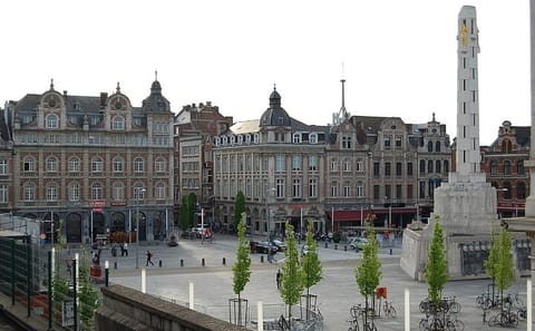 Gothic Landmarks and Medieval Heritage Walking Tour in Leuven