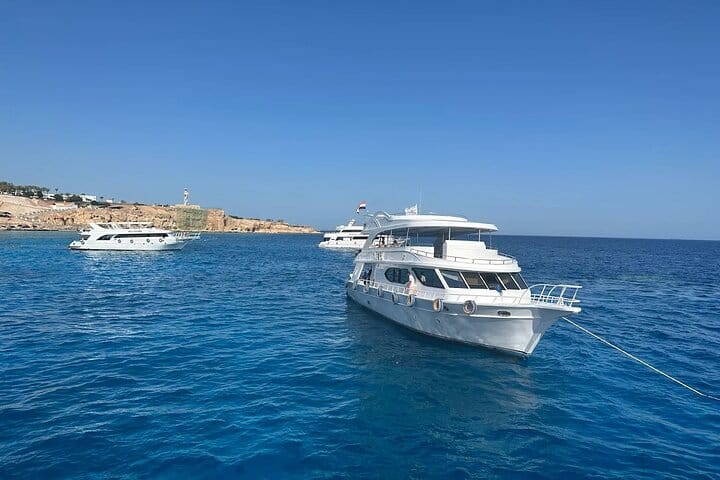 Ras Mohammed & White Island VIP Cruise with Seafood Lunch