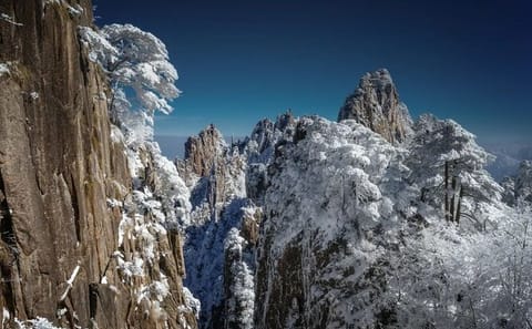 Yellow Mountain Geology and Nature Day Tour in China
