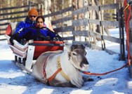 Reindeer Farm Visit with Reindeer Safari- Saariselkä 4
