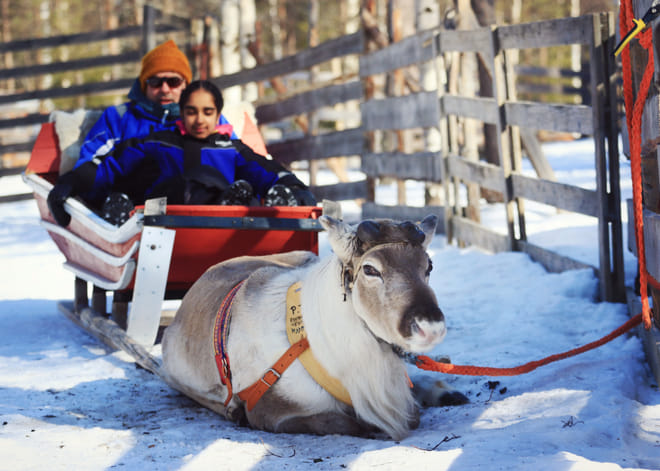 Reindeer Farm Visit with Reindeer Safari- Saariselkä photo 4