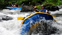 Bali Swing and White Water Rafting Experience with All Inclusive 5