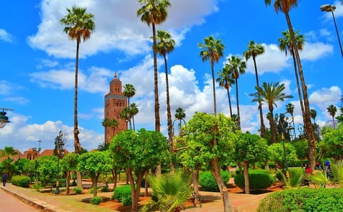 Private Half-Day Cultural Tour of Marrakech Highlights