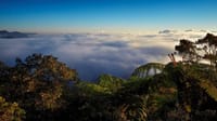 Hortan Plains & Nuwara Eliya Tour (German & English) 7