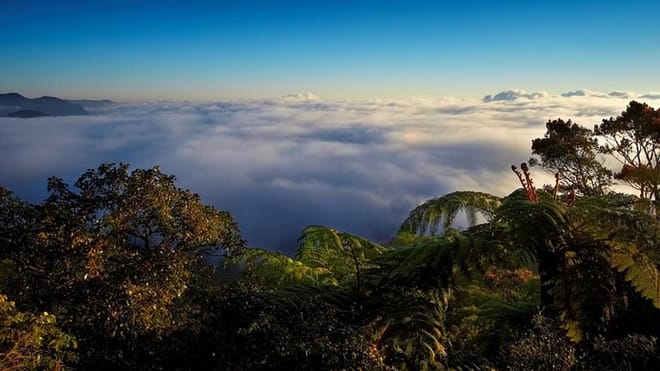 Hortan Plains & Nuwara Eliya Tour (German & English) 7