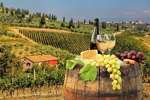 Chianti Half day Wine tour from Florence