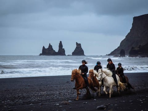 Black Beach Riding Tour, photo 2
