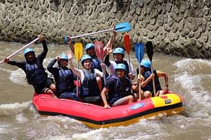 Bali Ayung River Rafting with Lunch and Optional Transfers