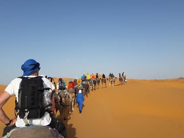 camel trik