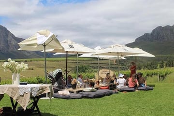 Private Full Day Wine Tour from Cape Town to Stellenbosch