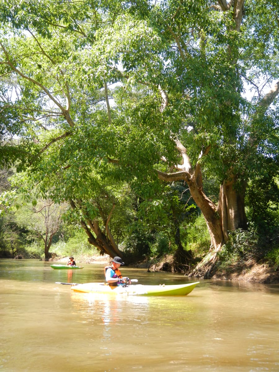 Chiang mai Suthep National Park Leisure Hiking & Mountain Biking