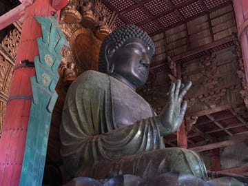 Nara Early Morning Tour (Kyoto or Osaka Departure Available)