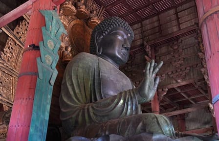 Nara Early Morning Tour (Kyoto or Osaka Departure Available)