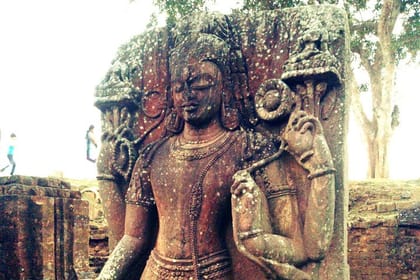 Odisha Temple & Mangrove Forest