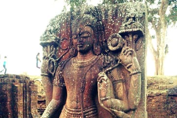 Cultural Tour of Odisha Temples and Mangrove Forests