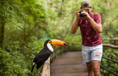 Three-Day Nature and Culture Tour of Foz do Iguaçu