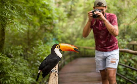 Three-Day Nature and Culture Tour of Foz do Iguaçu