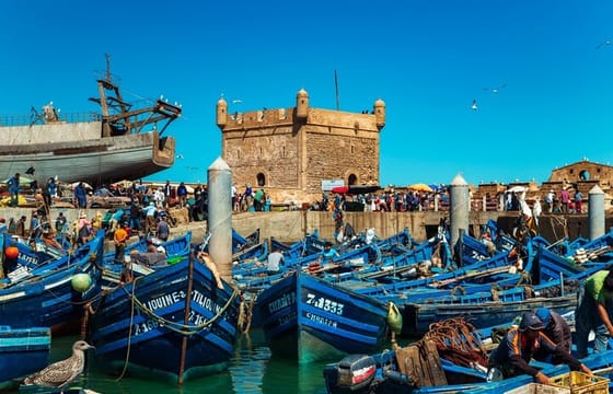 Private Day Trip to Essaouira from Marrakech