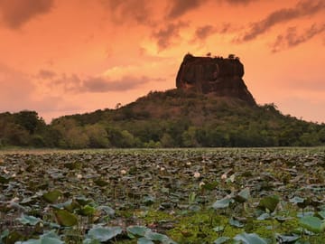 Eight-Day Adventure Tour of Colombo, Sri Lanka