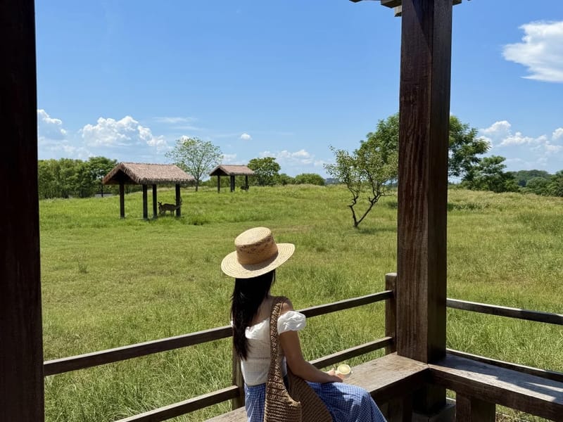 Liangzhu: 5,000-Year UNESCO Site Private Day Trip