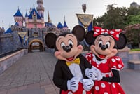 Disney and Universal Private Luxury Transfer 1