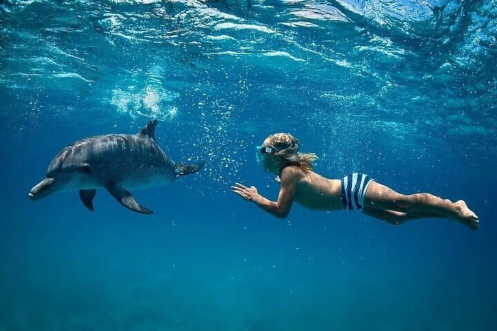 Swim with Dolphins – VIP Snorkeling & Water Sports – Hurghada