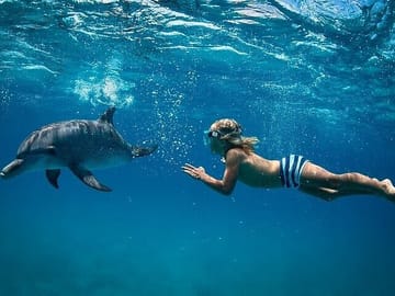 Dolphin House Full Day Snorkeling Cruise With Lunch – Hurghada