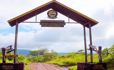 ​Arusha National Park Day Trip: Game Drive & Walking Safari