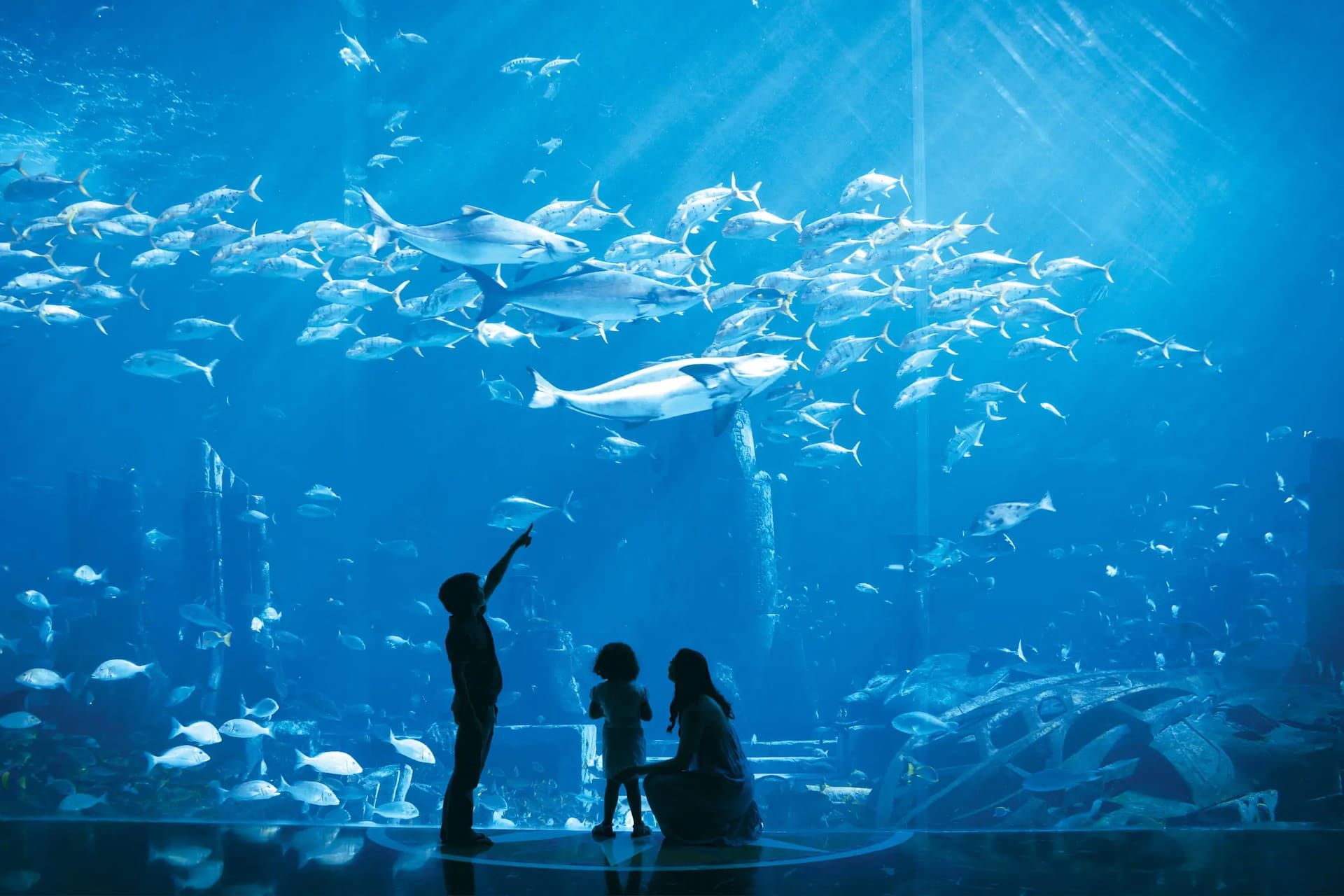 LOST CHAMBERS AQUARIUM DUBAI ONLINE TICKETS EXPLORE UNDERWATER WONDERS-Tour Visionary