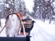 Reindeer Safari in Finnish Lapland