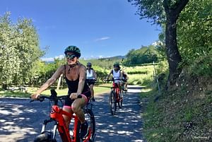 E-Bike tour and wine tasting in Lazise