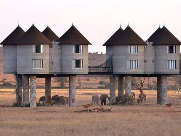 3 Days Private Safari To Saltlick Lodge From Nairobi