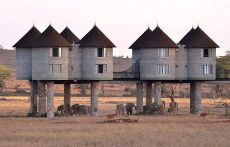 3 Days Private Safari To Saltlick Lodge From Nairobi