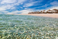 Abu Dabbab Snorkeling Trip, Explore Marine Life : Marsa Alam