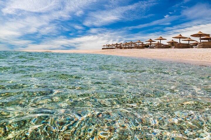 Abu Dabbab Snorkeling Trip, Explore Marine Life : Marsa Alam