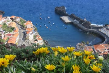 4WD Coastal Tour of Camara de Lobos, Madeira