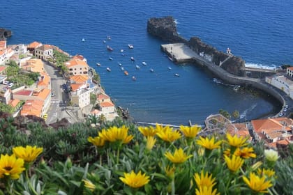 Madeira Sea Cliff and Camara de Lobos 4WD Half Day Tour