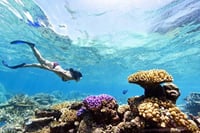 Sharm El Sheikh: Sinai Desert Experience with Seafood Dinner 2