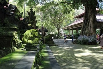 Best of Ubud : Monkey forest – Swing – Rice Terrace – Temple