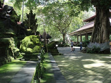 Ubud Adventure Tour: Monkey Forest, Swing, Rice Terraces, Temple