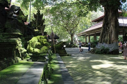 Best of Ubud : Monkey forest – Swing – Rice Terrace – Temple