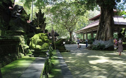 Ubud Adventure Tour: Monkey Forest, Swing, Rice Terraces, Temple