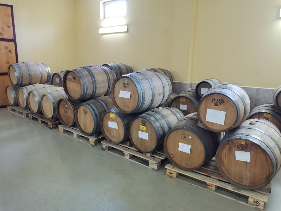 3-Day Private Tour Wine and E-Biking in Northwest Bulgaria 2