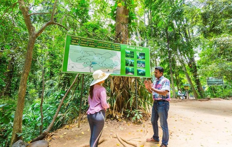Udawatte Kele Santuary with Nature Walk from Kandy