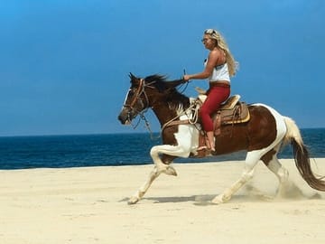 Horseback Riding Adventure in Hurghada, Egypt