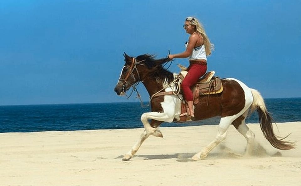 Horseback Riding Adventure in Hurghada, Egypt