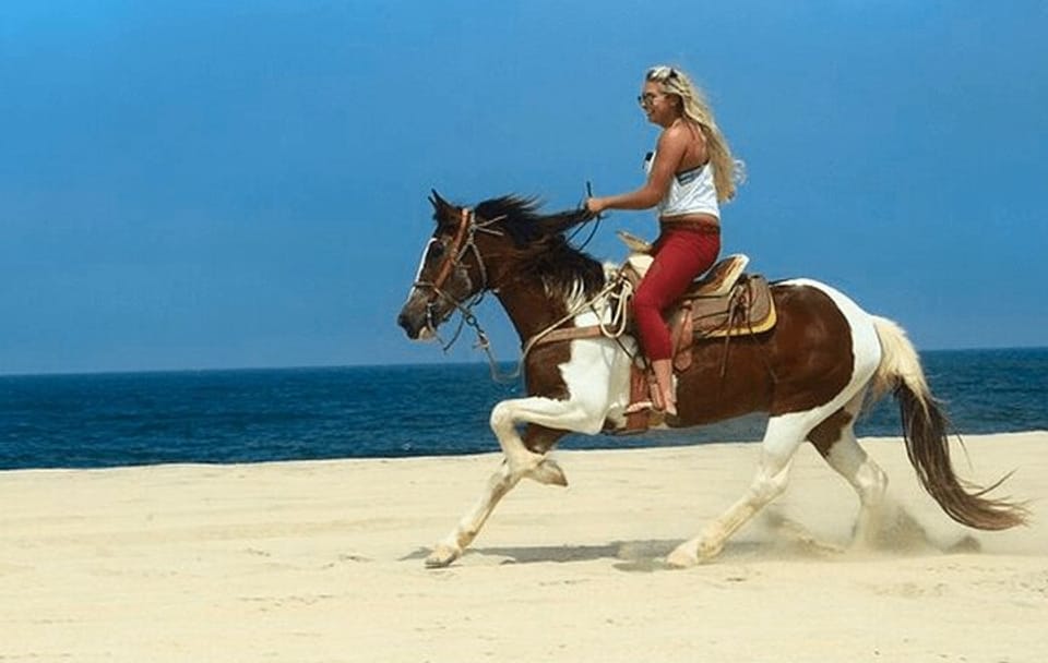 Horseback Riding Adventure in Hurghada, Egypt