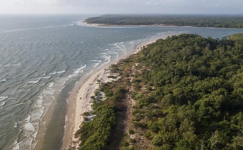 Explore Marajó Island: 2-Day Cultural and Nature Tour