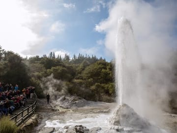One-Way Tour from Auckland to Rotorua with Scenic Stops