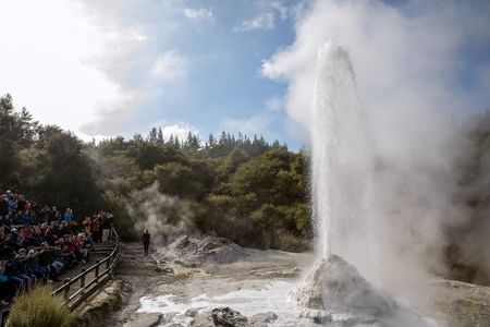 WAI-O-TAPU Thermal Wonderland, Rotorua - Group Day Tour from Auckland